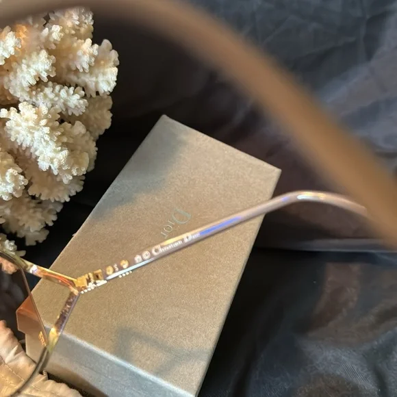 Christian Dior Sunny’s Full Inclusion